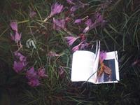 处女座人缘指数有多高