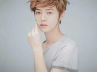 铃兰塔罗：鹿晗网络暴力事件发展预测