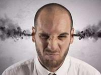 脾气比能力还大的生肖