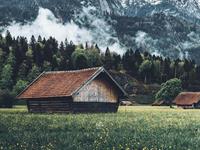 占卜生活对你的最新暗示是什么