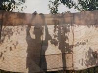 占卜下半年你还有机会买房买车吗