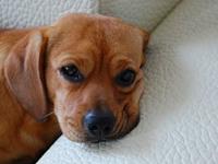 累觉不爱，这些星座天天都觉得很累