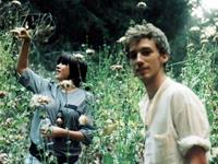 占卜你的耐心等待会有回报吗