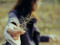 摩羯座总会犯什么傻