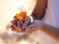 张盛舒紫微14主星一周运势（6.19-6.25）