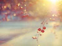 天秤座最克制哪个星座