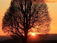 摩羯座最克制哪个星座