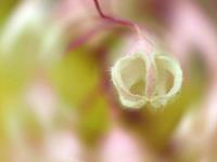 双鱼座表白被拒绝后