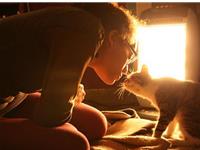 竹猫星球一周塔罗运势(6.26-7.2）