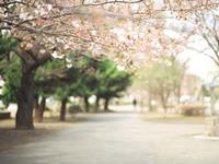 双子座讨厌一个人的方式