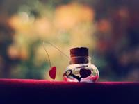 狮子座会有恻隐之心吗