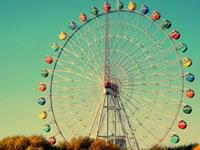 巨蟹座的理性有多恐怖