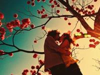 B血型的女最佳配对是谁