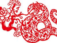 生肖蛇睡觉之前有什么怪癖