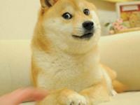 12星座谁最容易沦为单身狗？（上）