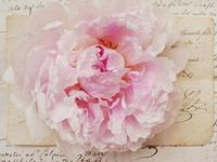 惊！这些星座在学生时代竟没有谈过恋爱