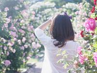 2017年7月下旬正财运最好的生肖