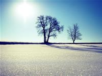 白羊座的幽默程度如何