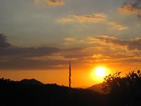 狮子座的幽默程度如何