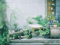 十二星座谁最文艺