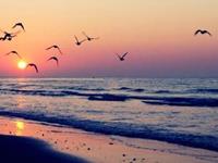 占卜最近你的生活会遇到麻烦吗