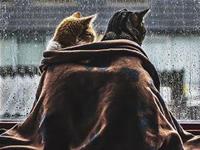 占卜与你白头偕老的另一半会是谁