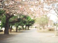 金牛座最让人鄙视的性格