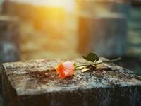 詹妮弗一周爱情运势（7.24-7.30）