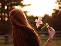 又难追又难分手的生肖都有谁