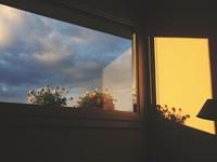 测你会向现实屈服吗