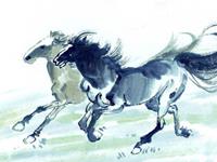 滴天居士2017年8月生肖马运势