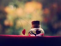 巨蟹座最值得骄傲的事是什么