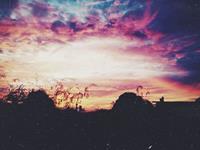 星灵塔罗每日运势8.1