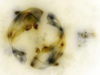 凰洛-枂2017年8月双鱼座运势