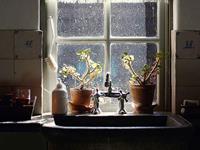 占卜最近生活会给你什么启示