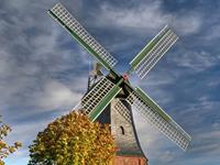 白羊座最讨厌别人管自己什么