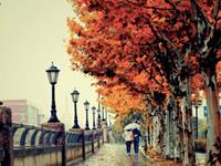 双子座寂寞时的表现