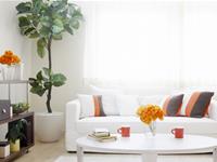 家居风水影响你的健康运势