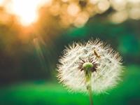 天秤座一生中最害怕失去什么