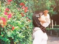 李云天十二生肖2017年9月运程