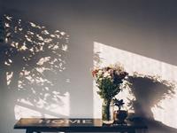 测你复习的效率有多高