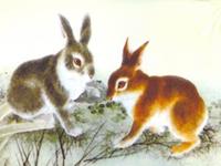 属兔人2019年运势 2019年属兔人的全年运程