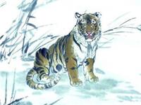 1950年属虎的人2019年运势及运程大全解析