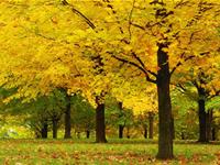 秋分如何调理运势好？