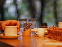 Julia Chen狮子座2017年10月运势