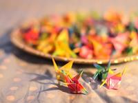 处女座是最聪明的吗