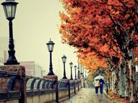 白羊座有多大几率暗恋一个人