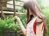 走到哪里都会成为闪光点的生肖