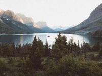 占卜你目前的爱情走势如何