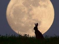 当天不能算命，看看你所不知道的中秋节的那些禁忌